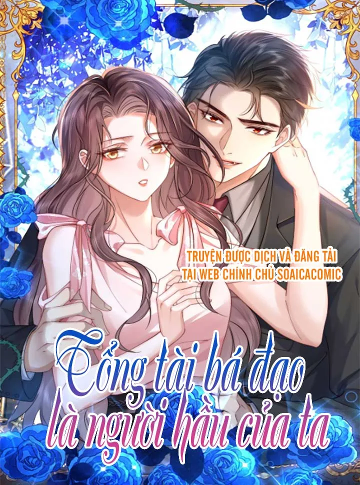 Tổng Tài Bá Đạo Là Người Hầu Của Ta